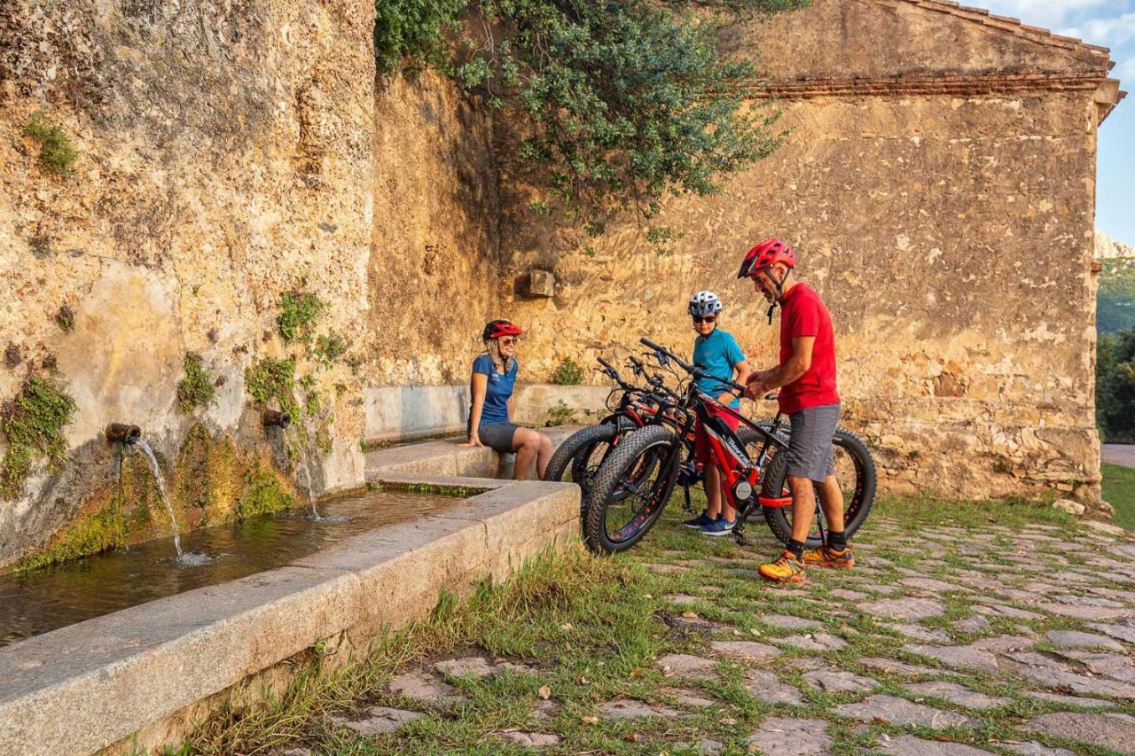 Bedbike Baunei Ngoại thất bức ảnh