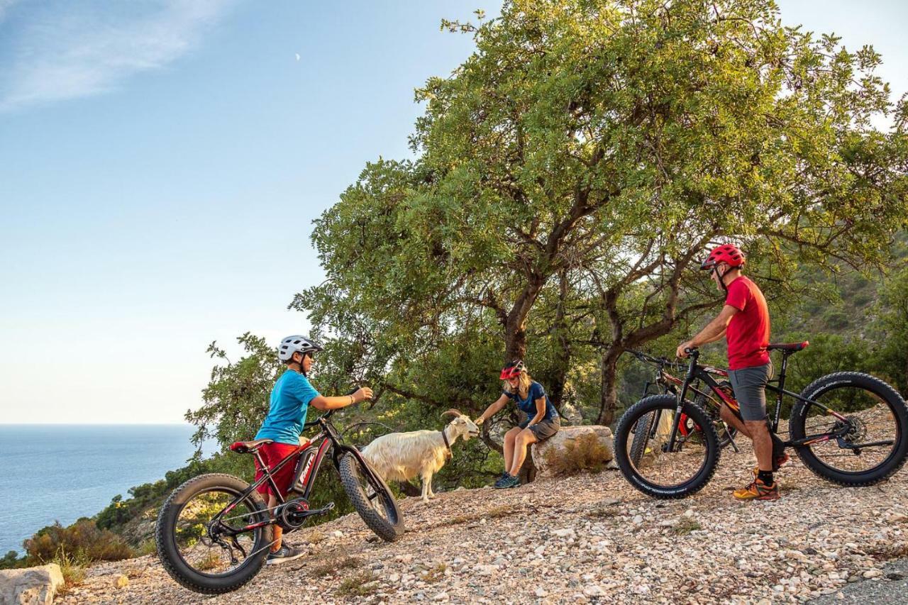 Bedbike Baunei Ngoại thất bức ảnh